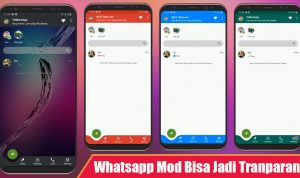Download Delta WhatsApp Mod Apk Terbaru 2019 - Bisa Ganti Tema Tranparant